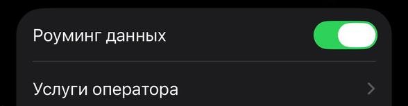 Роуминг данных включён на iPhone